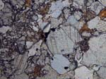 N822_02_OwcsPL