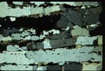 n209a