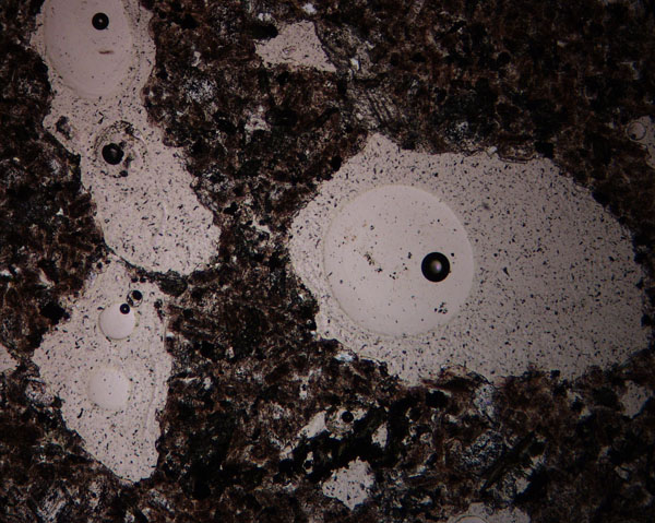 Q002C Vesicles PL