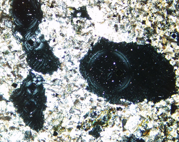 Q002C Vesicles XN