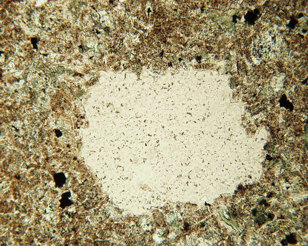 Q003C Vesicle PL