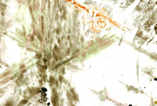 %_tempFileNameMica056e%